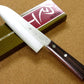 Santoku in acciaio SanMai