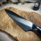 Gyuto in acciaio INOX