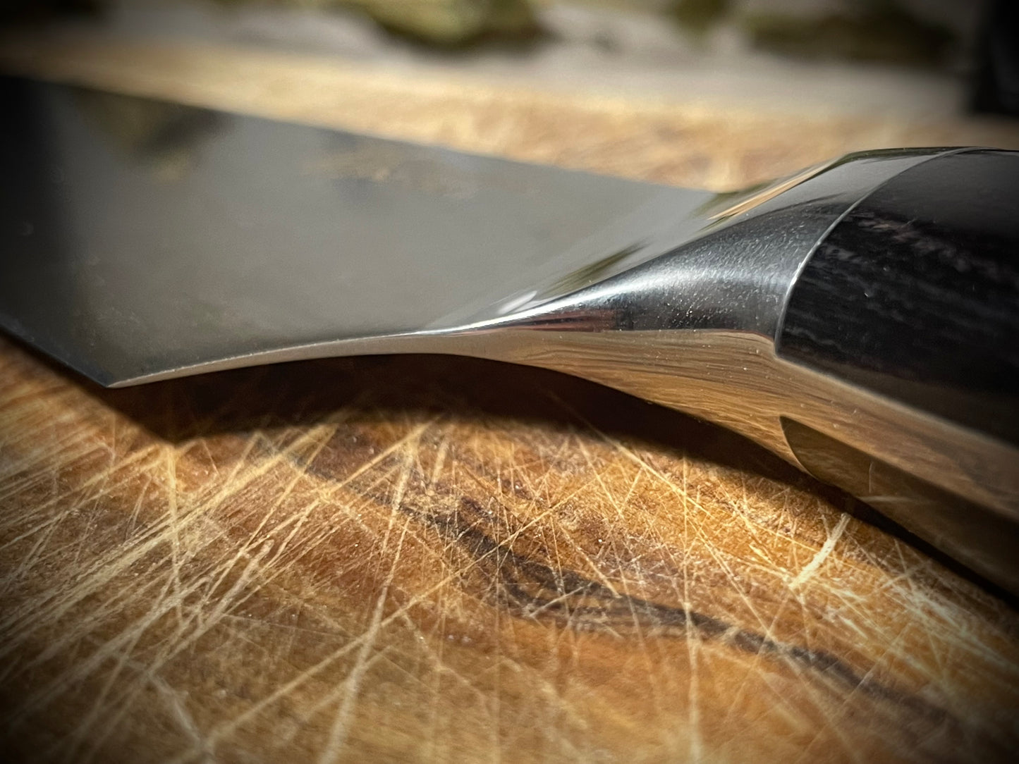 Gyuto in acciaio INOX