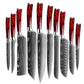 Set di coltelli in acciaio INOX