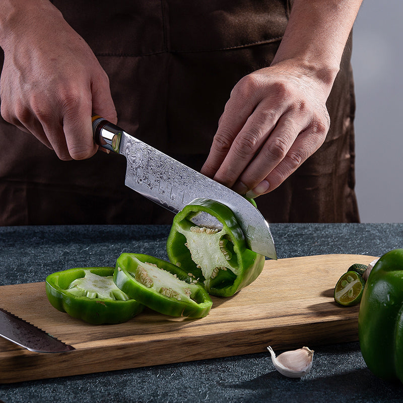 Santoku in acciaio INOX damascato